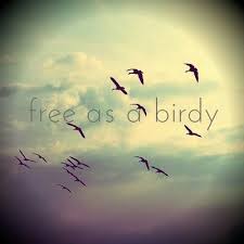 Free As A Bird Quote Free Bird Quotes Bird Quotes Beach Quotes Inspirational Don't fly off on your own. free as a bird quote free bird