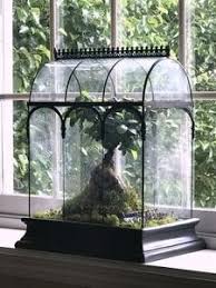 Glass Plant Terrarium Large Glass Terrarium Succulents In Containers Terrarium For Sale