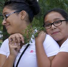 SUPPLEMENTAL EDITION