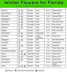 Flora of north america web site. 28 Winter Annuals For Florida Ideas Annual Flowers Plants Tropical Plants