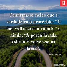 27 Versos da Bíblia sobre Dog, The