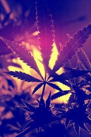 , cool weed wallpapers best hd wallpaper cool wallpaper 1600×1200. Smoke Weed Wallpaper