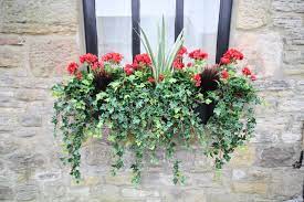Home décor & so much more · a zillion things home · up to 70% off Artificial Flowers For Window Boxes Ireland