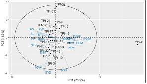 Image result for Psophocarpus scandens
