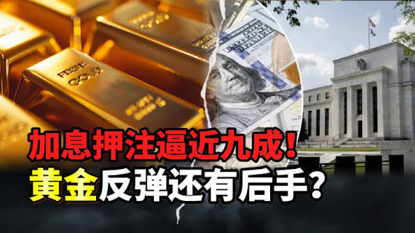 隐藏的影响因子：黄金期货涨跌，为什么有时候和美联储加息的预期会出现反向走势？示意图