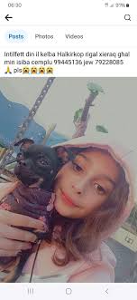 Loving Pets Malta The Original