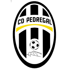 Futbol 7 y Futbol Sala La Amistad Tenerife