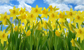 Det bliver en god påske i 2020. God Paske