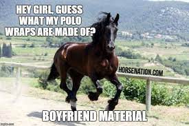 Pin On Ha The Epicenter Of Horse Humor