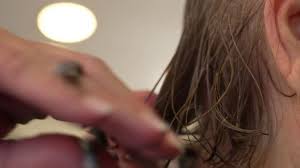 Alessia galvan onlyfans that girl was described as my