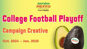 Image result for Light Avocado 1983 Fedders