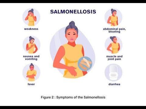Salmonellosis bacterial infection caused by Salmonella species ;  Definition, Causes, Symptoms, Treat