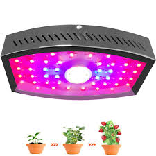 Research the 2014 buick enclave at cars.com and find specs, pricing, mpg, safety data, photos, videos, reviews and local inventory. Alitade 1000w Cob Led Grow Light With Adjustable Of Super Brightness Switch Full Spectrum Plant Growing Lamps For Gardening Indoor Growing Greenhouse Planting Veg Seeding Flowering Fructify Growing Lamps Indoor Gardening Hydroponics Guardebem Com