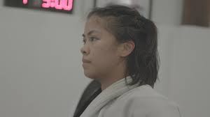 Reporting Fellow Stories and Projects