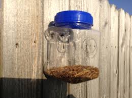 Homemade Bird Feeders For Small Birds Only Blue Bird Feeder Diy For Mealworms Handmade Using A Plastic Jar From The Dollar Store I Bought The One Wit Diy Bird Feeder Bird Feeders Birds Bees Butterflies