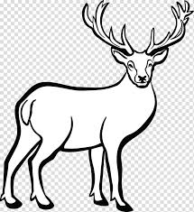 Free whitetail buck graphics for creativity and artistic fun. White Tailed Deer Line Art Deer Transparent Background Png Clipart Hiclipart