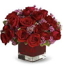 Check spelling or type a new query. Never Let Go By Teleflora 18 Red Roses In Fort Wayne In Broadview Florist Greenhouses