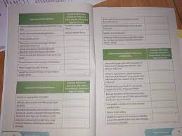 Definisi sistem informasi sistem informasi merupakan suatu tatanan yang terorganisasi dalam pengaturan sumber daya yang ada (2010:227) perancangan dan penggunaan dokumen dan catatan yang tepat akan menjamin akurasi dan kelengkapan pencatatan seluruh data. Tolong Dijawab Ya Tentang Venus Sudah Saya Isi Tinggal Kelelawar Dan Rantai Makanan Di Brainly Co Id
