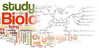 Nota Ringkas Biologi Tingkatan 4 Pdf Download Online Pendidikanmalaysia Com