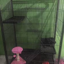 Bagaimana hasilkan sangkar kucing dengan baju terpakai anda. Model Kandang Kucing Buatan Sendiri Pagar Rumah