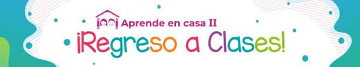 El nivel primario del programa aprendo en casa contempla los grados de 1°, 2°, 3°, 4°, 5° y 6°. Aprende En Casa Ii Primaria Ciclo Escolar Centro De Descargas