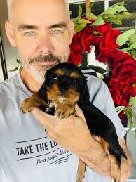 SPRING 2025 Castlemar babies ❤️