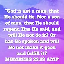 Pin By Sandy Rose On Bible Bible Apps Amplified Bible Sayings