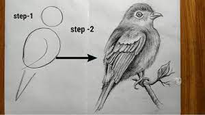 How to draw a flamingo. How To Draw A Easy Bird Step By Step With Pencil Sketch Bird Drawing Tutorial Veri Easy Step Youtube