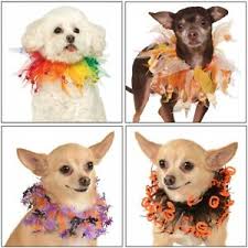 Details About Dog Tulle Collar Costume Pet Halloween