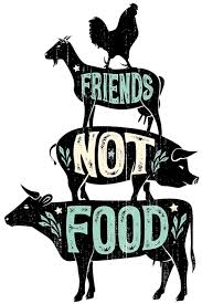 Vegan Friends Not Food Iron On T Shirt Transfer Vegetarian Vegetarian Quotes Vegan Quotes Vegan Animals