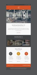 Sr Technoweb I Will Design Responsive Editable Email Template For 5 On Fiverr Com Email Marketing Template Email Marketing Design Email Newsletter Design