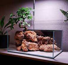 Pin By Efe Erol On Bulldog Aquarium Design Biotope Aquarium Aquarium Garden