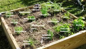 Create a simple potager, or kitchen garden, and harvest your herbs for cooking, sprucing up lemonade, cocktails and tea or simply enjoy their cottage charm (and sweet smells!).herbs are also great looking greenery in cutting garden bouquets of other. 5 Great Garden Designs To Brighten Your Backyard Garden Propertyguru Malaysia
