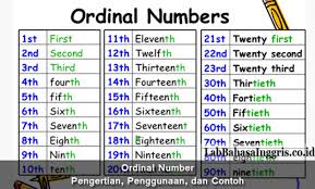 Male dan female adalah kata sifat, sementara man dan woman adalah kata benda. Ordinal Number Adalah Pengertian Penggunaan Dan Contoh Grammar Co Id