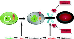 Join the action alerts plus community today! Tracing The Path Of Cancer Initiation The Aa Protein Based Model For Cancer Genesis Bmc Cancer Full Text