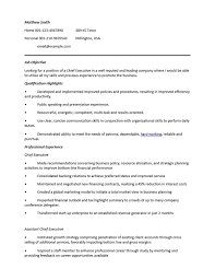 Is your resume working for you? 24 Award Winning Ceo Resume Templates Wisestep