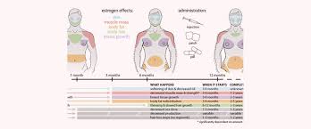 6 Main Body Changes Induced By Mtf Hrt 2pass Clinic