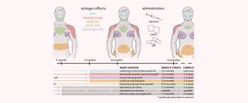 6 Main Body Changes Induced By Mtf Hrt 2pass Clinic