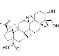 23-Hydroxybetulinic acid