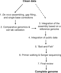 Maybe you would like to learn more about one of these? A Pipeline For Completing Bacterial Genomes Using In Silicoand Wet Lab Approaches Bmc Genomics Full Text