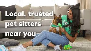 Thumbtack.com has been visited by 100k+ users in the past month The Best Dog Sitters Near You Wag