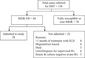 Flow Chart Showing Admission Of Mdr Tb Patients To Trea Open I