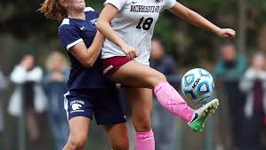 Northwest Jersey Athletic Conference girls soccer honors