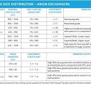 Strong Base Anion Exchange Resin | Ecolab