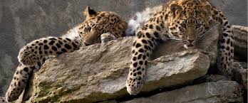 Tallinn Zoo | Visit Estonia
