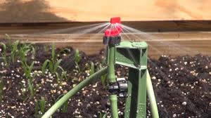 Place plants with like water needs together in the garden and plan to irrigate accordingly. Installing An Irrigation System In My Raised Bed Youtube