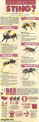 Infographic Identifying Honeybees From Other Stinging Insects And Other Honeybee Facts Bee Keeping Bee Bee Sting