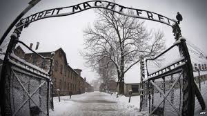 Image result for holocaust photos