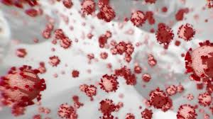 The european university association (eua) represents more than 800 universities and national rectors' conferences in 48 european countries. Eli Lilly Seeks Eua From Us Food And Drug Administration For Covid 19 Antibody Treatment Cnn