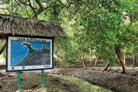 Terletak di kabupaten serang, sekitar 80 km dari jakarta, rawa dano adalah tujuan wisata yang hebat di banten. Wisata Rawa Dano Serang Wisata Rawa Dano Serang Wisata Rawa Dano Serang Banten Wisata Alam Rawa Danau Awalnya Merupakan Kepundan Gunung Berapi Yang Sudah Tidak Aktif Lagi Basiliak Arty